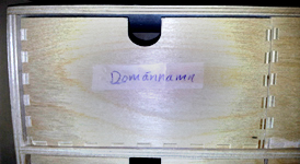 Domännamn